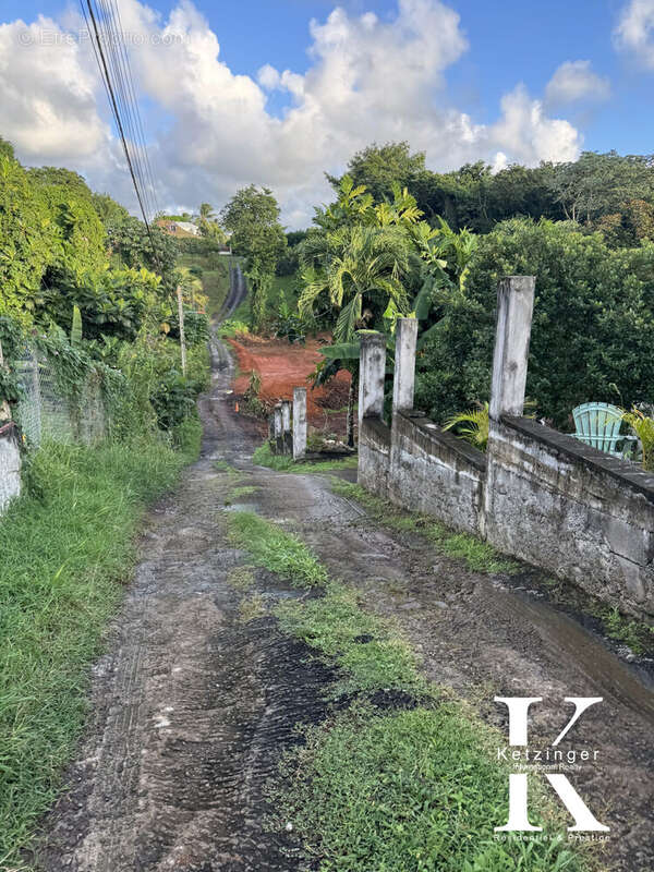 Terrain à LE LAMENTIN