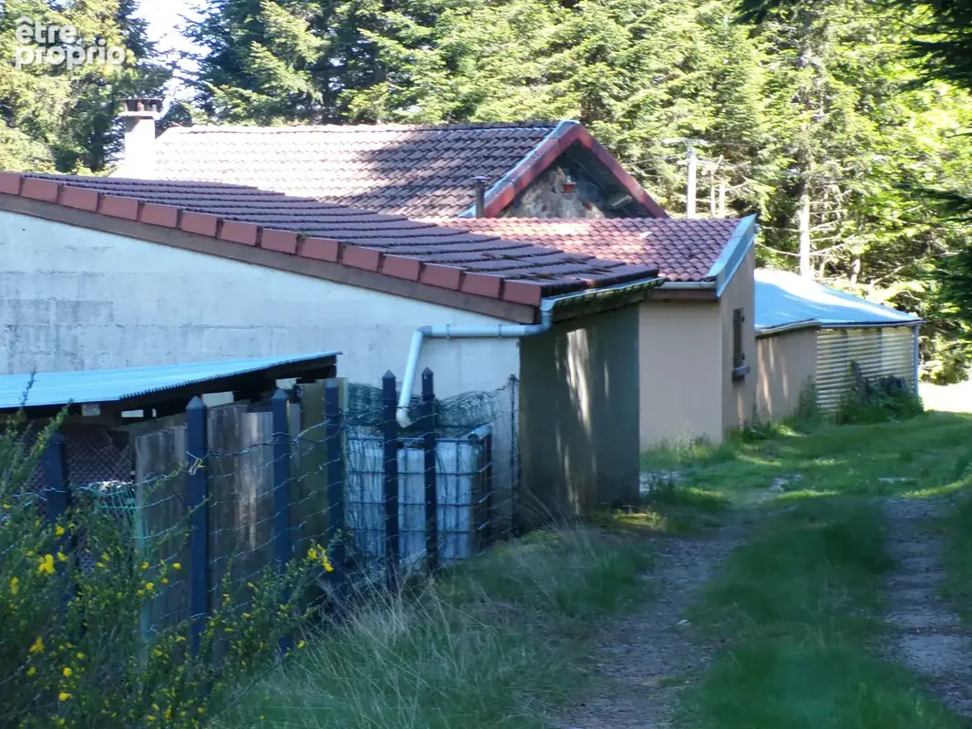 Maison familiale en pierre   4 chambres   130 m2   Saint-André-en-Vivarais (proche Saint-Bonnet-le-Froid) - photo 36