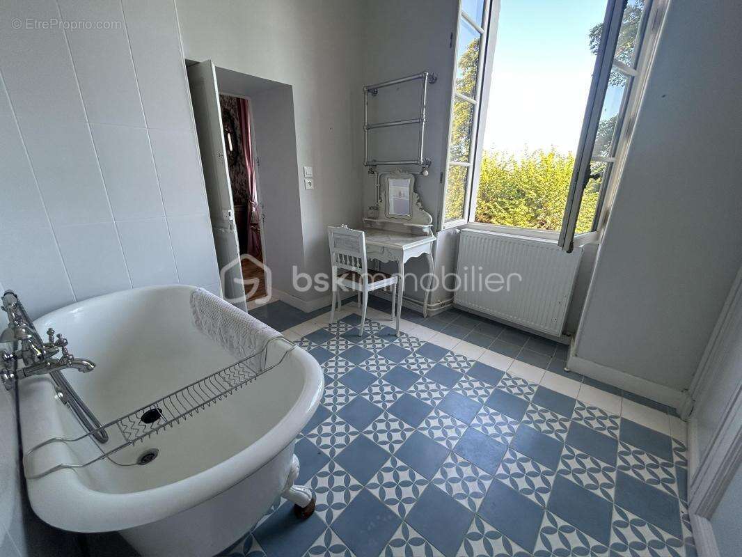 Château et sa maison de gardien - vue -terrain - piscine - dépendances - photo 18
