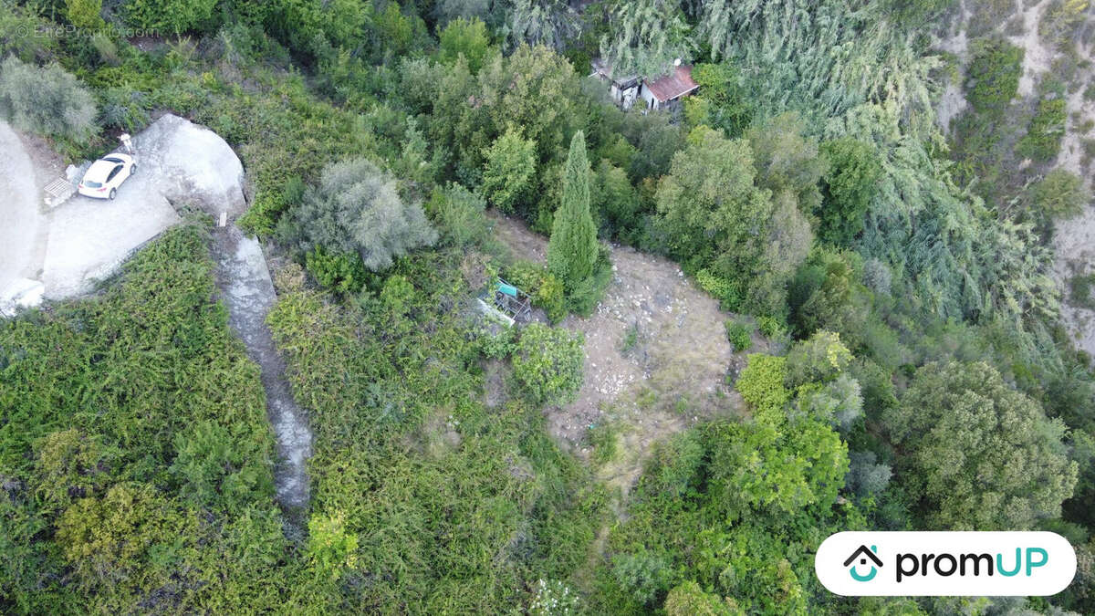 Terrain à SAINTE-AGNES