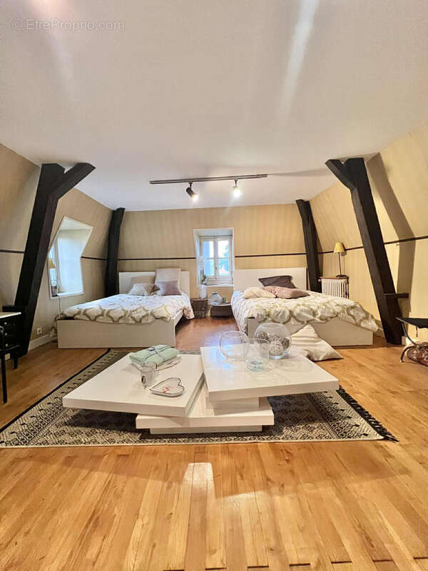 Maison Bourgeoise avec jardin et espace professionnel - photo 12