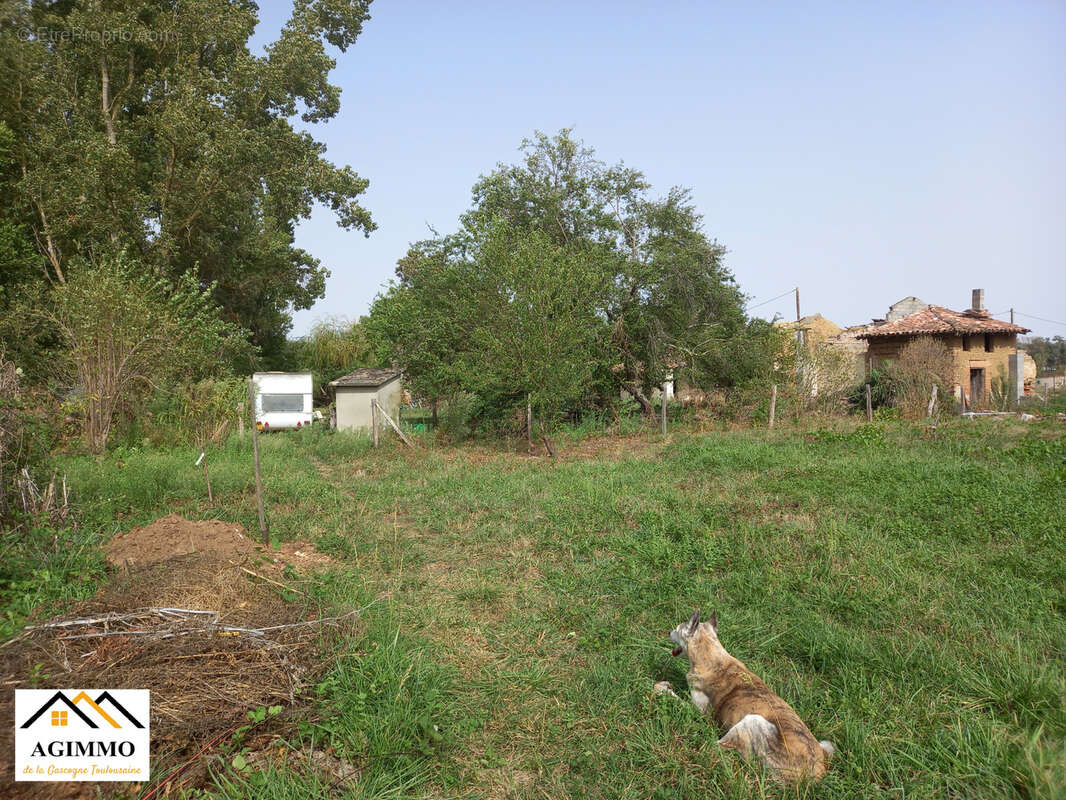 Propriété avec terrain de 13214 m2 et ruine à rebâtir - photo 7