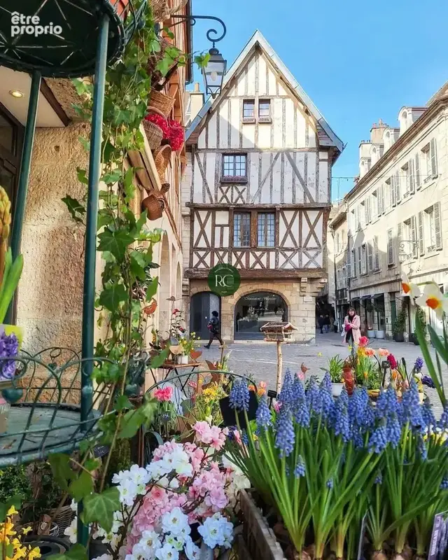 Commerce à DIJON