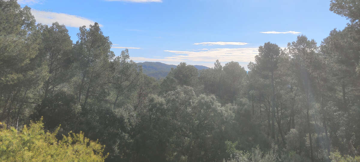 Maison à DRAGUIGNAN