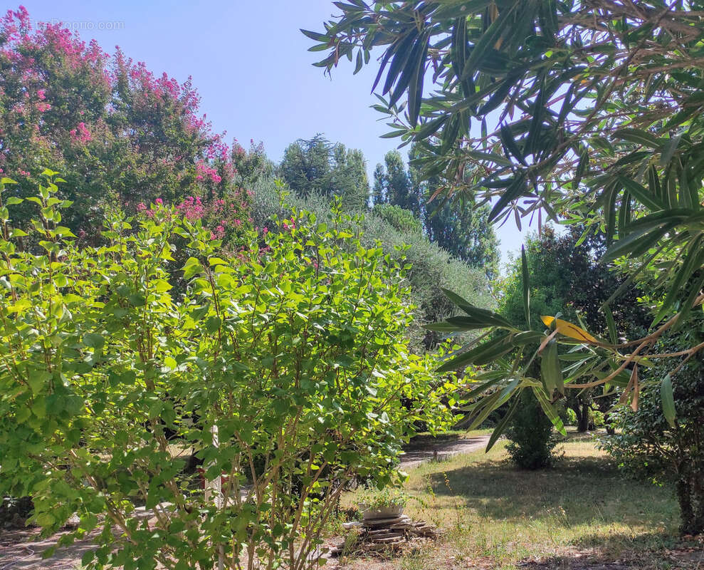 Maison à SAINT-AMBROIX