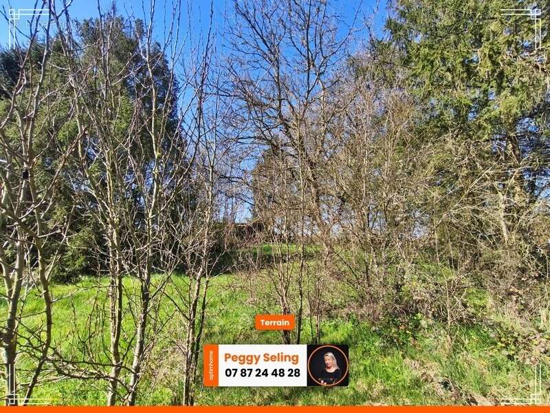 Terrain à MONDREPUIS