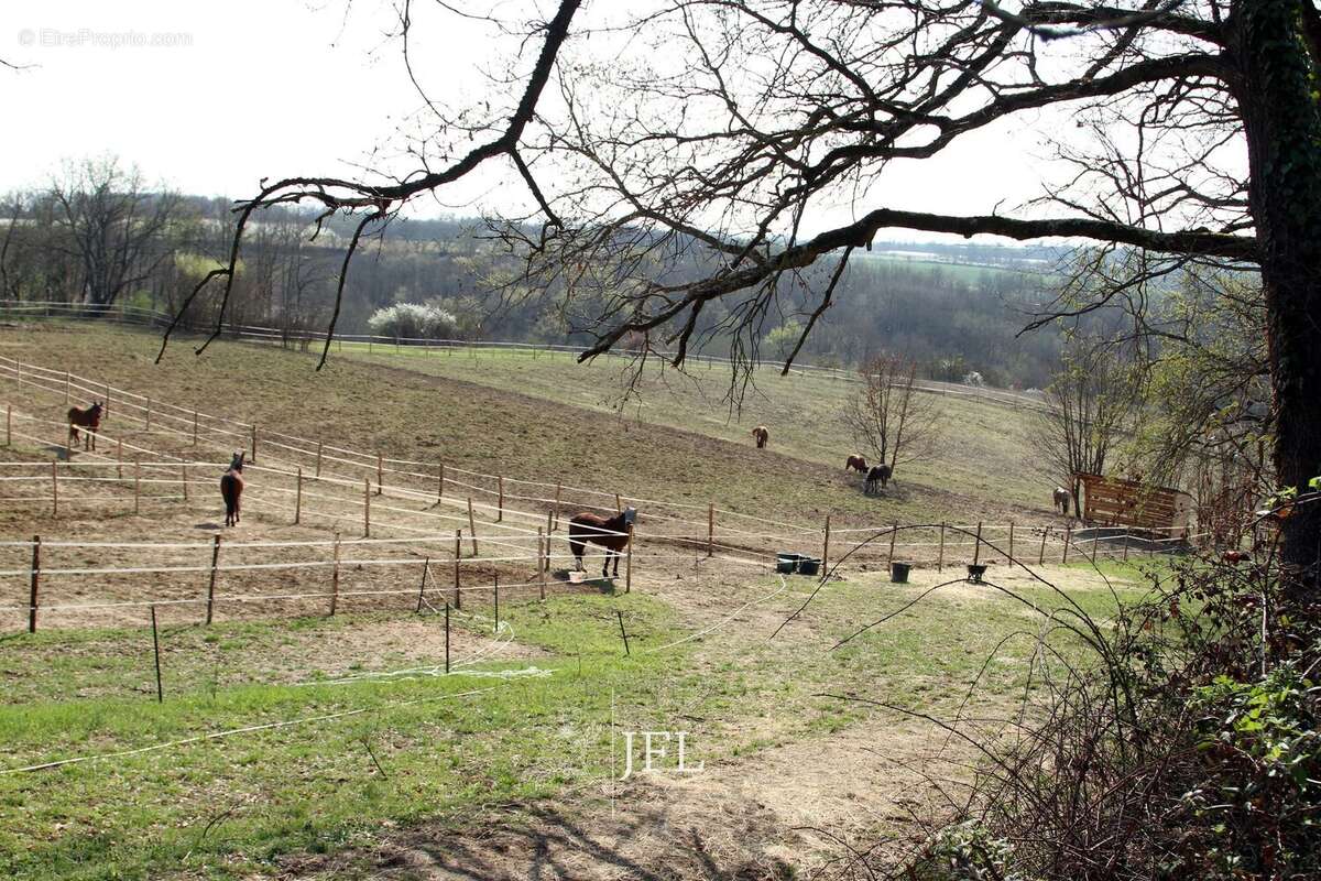 n°2 - Terrain à MOISSAC