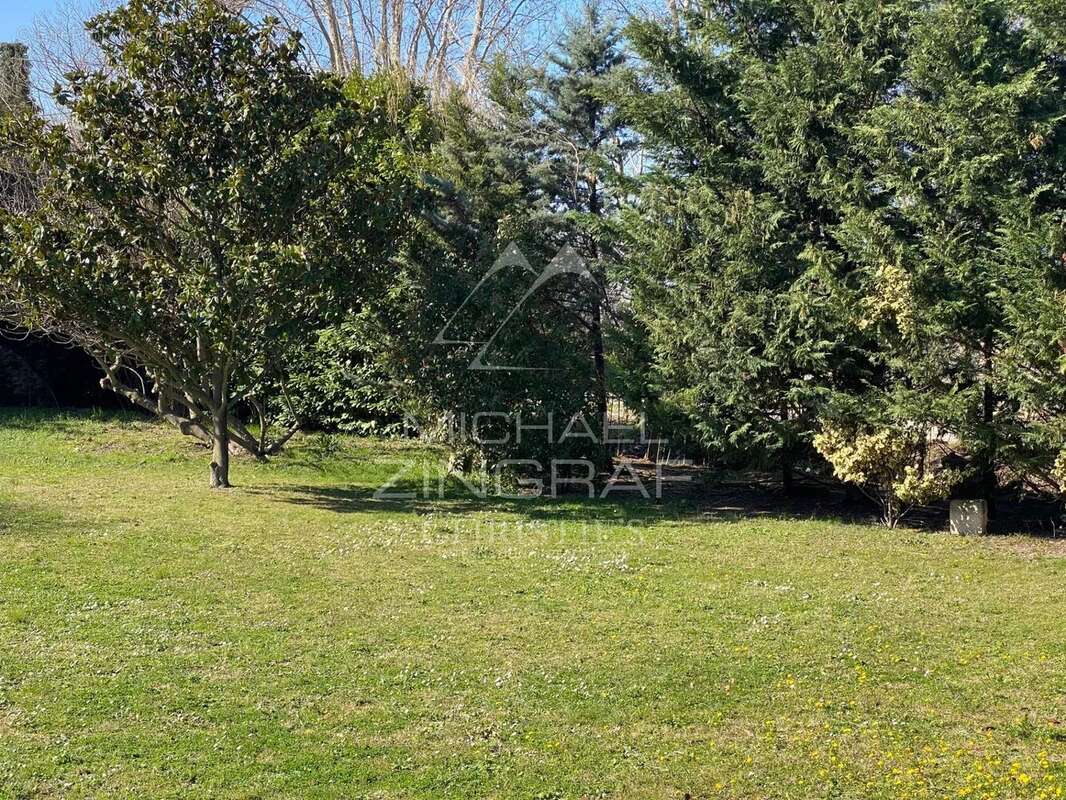 Terrain à SAINT-REMY-DE-PROVENCE