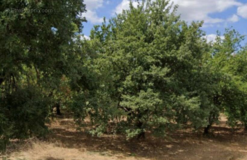 Terrain à SAINT-DONAT-SUR-L&#039;HERBASSE
