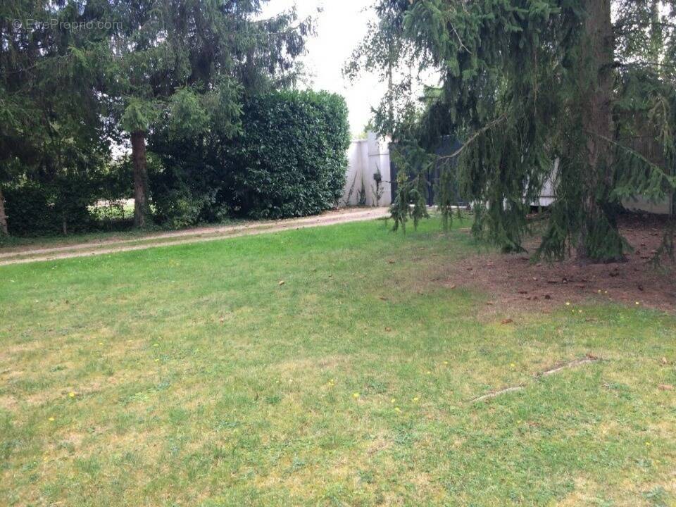 Terrain à SAINT-LEU-LA-FORET