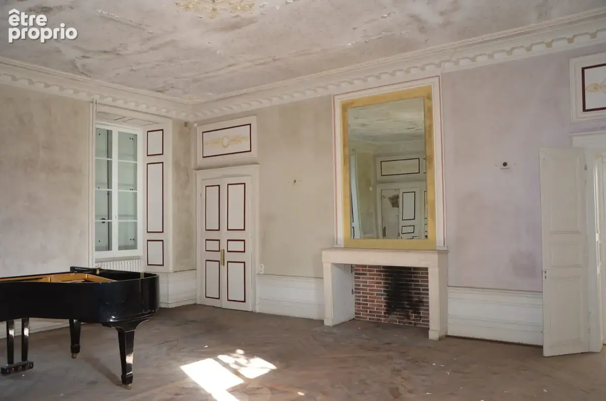 Maison 42 pièces 1 245 m² à vendre à Le Chatelet (18170) - photo 7