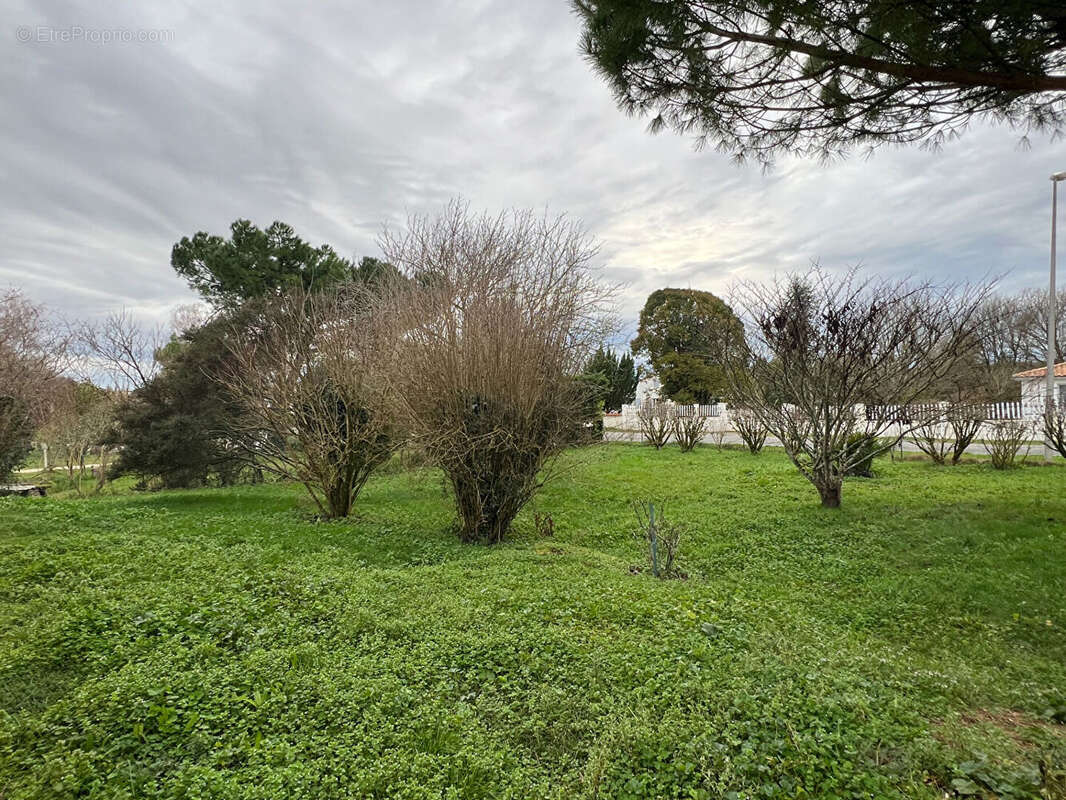 Maison à BUSSAC-SUR-CHARENTE