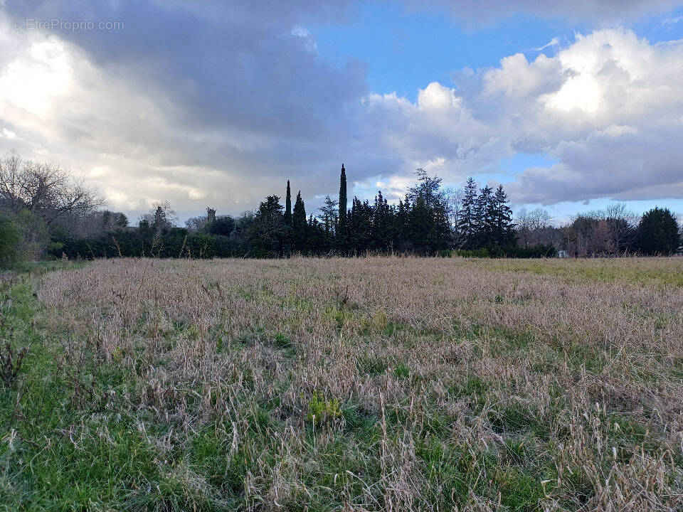 Terrain à LES ISSARDS
