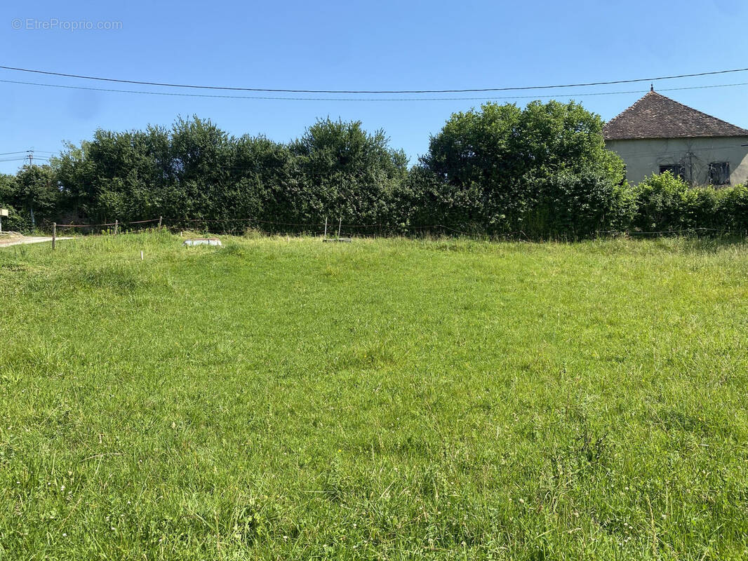 Terrain à BRANGUES