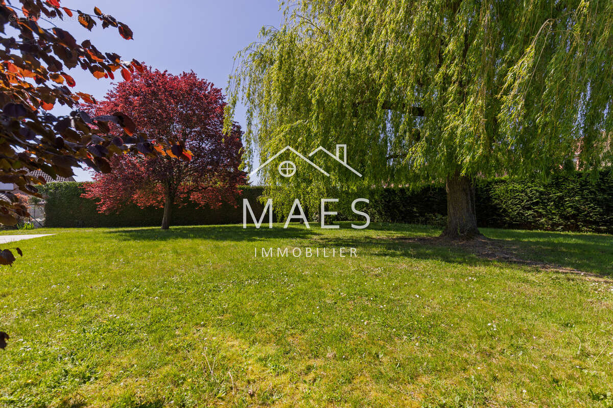 Maison à WAMBRECHIES