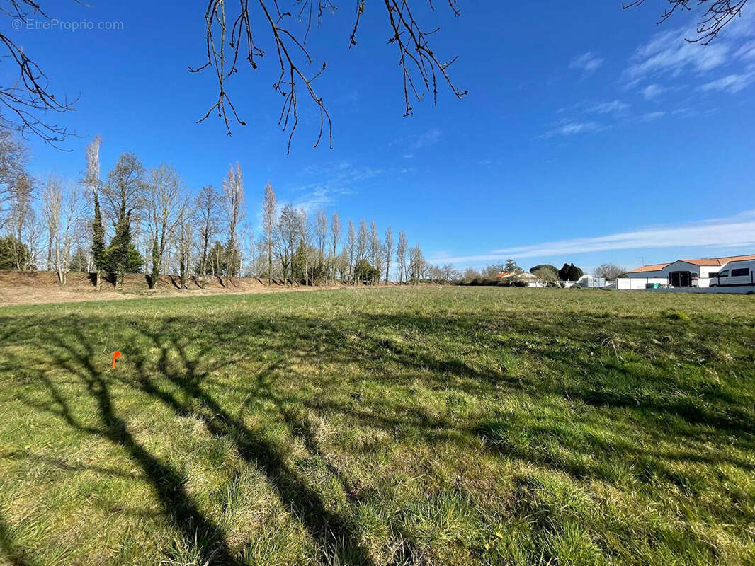 Terrain à LA CHAPELLE-ACHARD