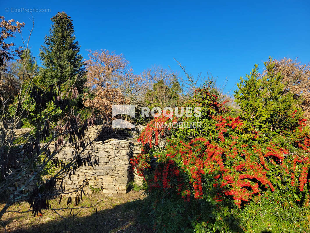 Maison à BEDARIEUX