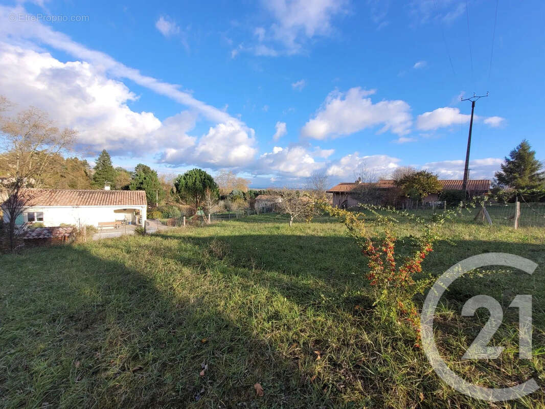 Terrain à RABASTENS