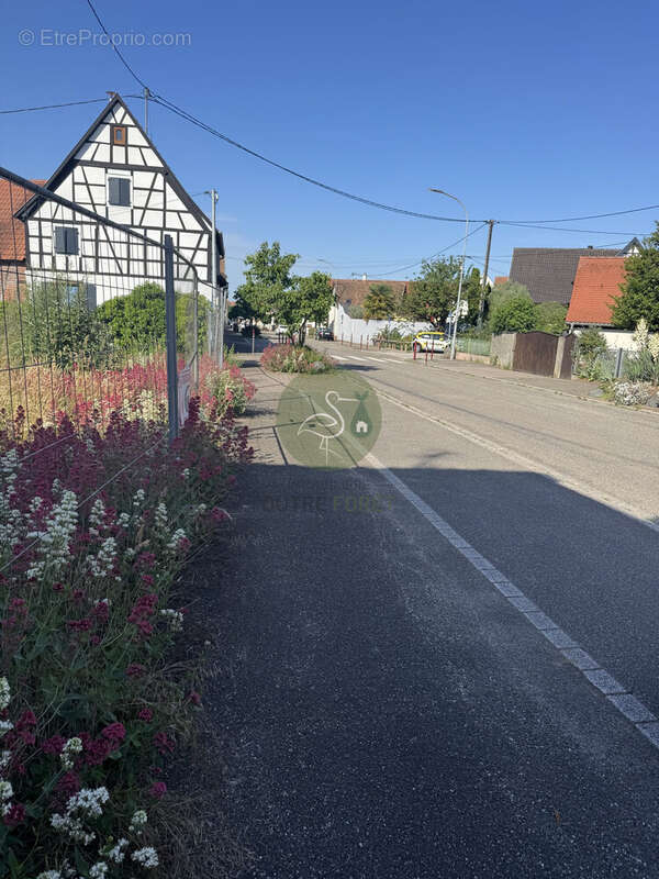 Terrain à NIEDERSCHAEFFOLSHEIM