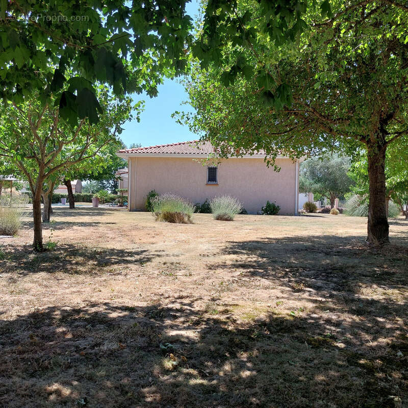 Maison à vendre 5 pièces CAMPSAS (82)avec garage attenant et double garage indépendant, piscine, terrasse couverte, puits, sur 2 - photo 52