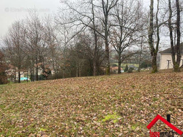 Terrain à LA FEUILLADE