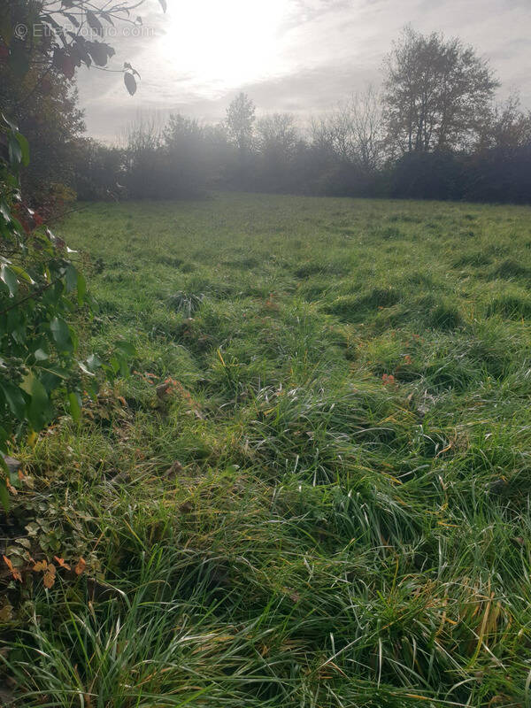 Maison à SAINT-BONNET