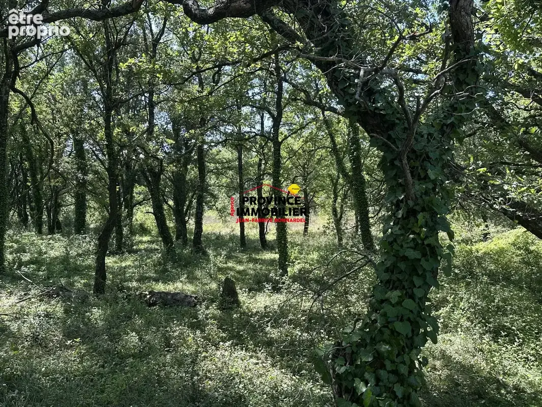 Terrain 12 485 m² à vendre à Grignan (26230) - photo 5