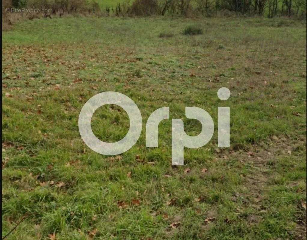 Terrain à QUINT-FONSEGRIVES