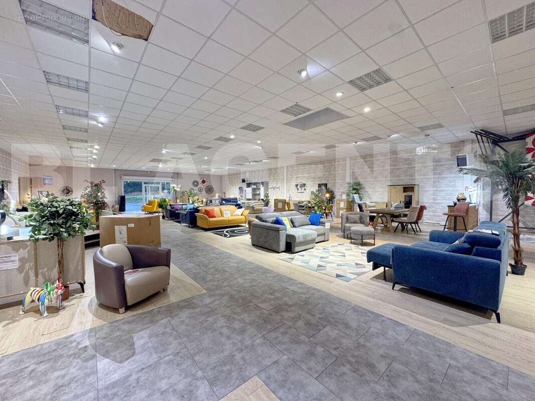 image00012_DxO - Commerce à COULOMMIERS