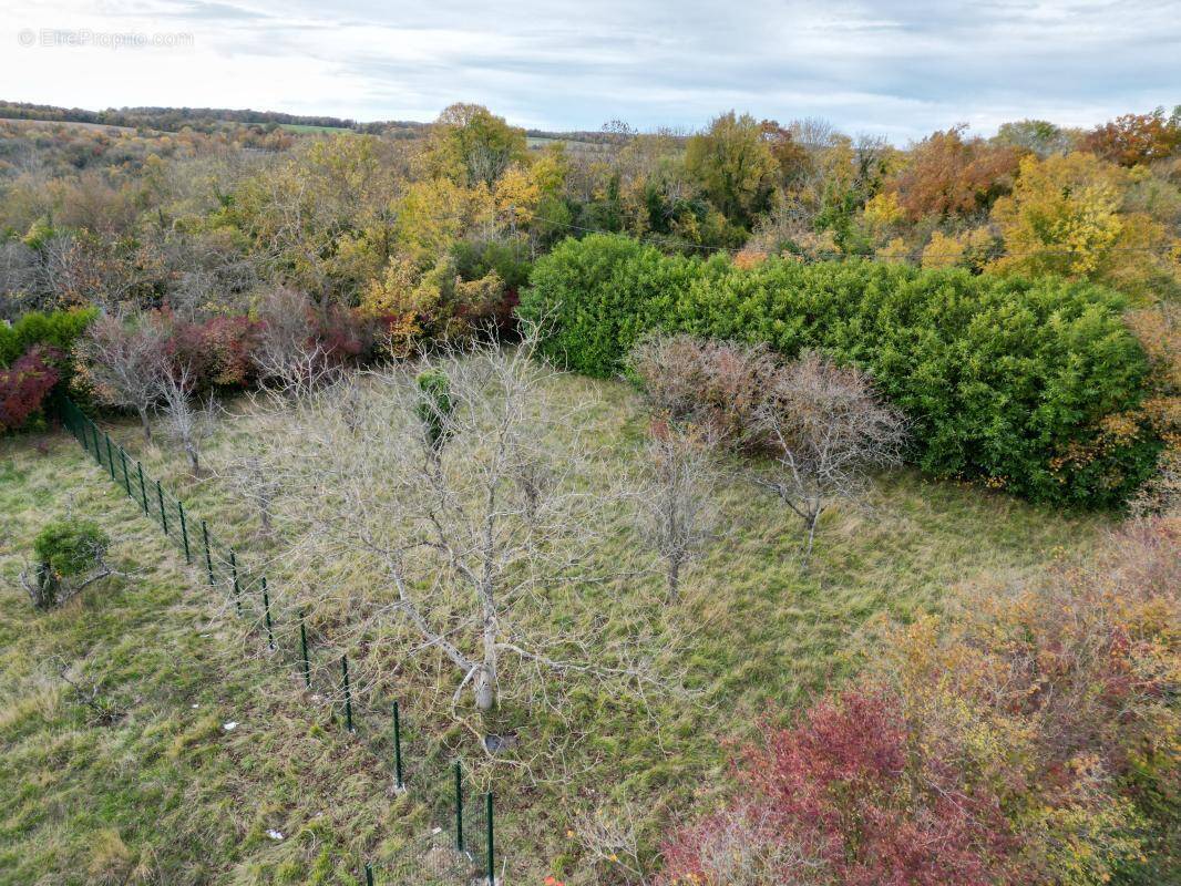 Terrain à AUBERGENVILLE
