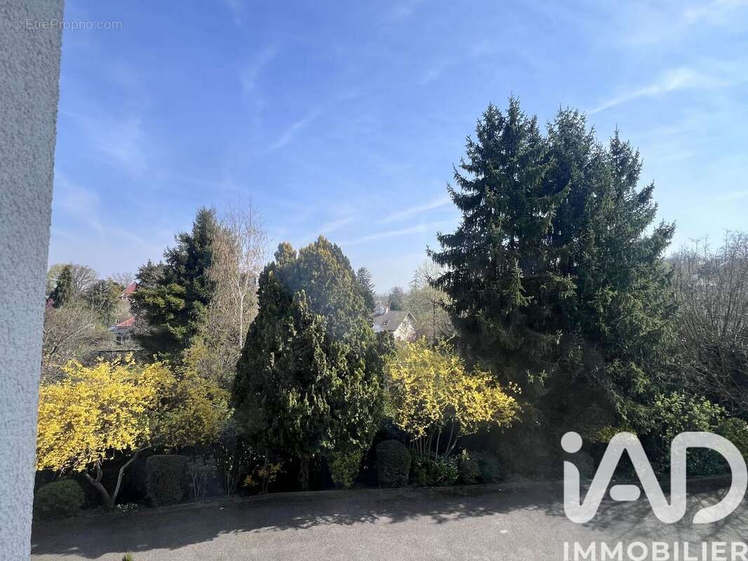 Photo 2 - Appartement à MULHOUSE