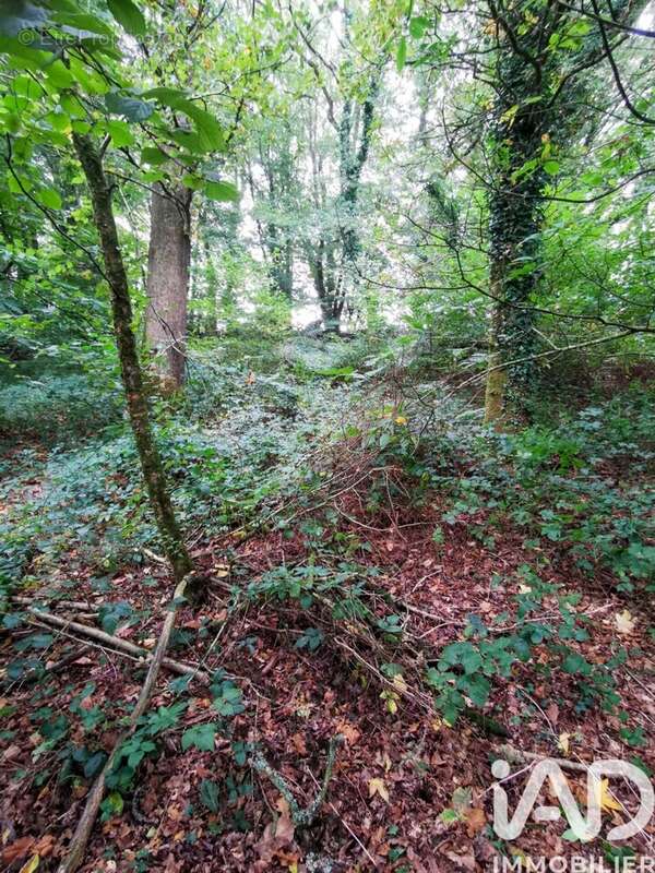 Photo 5 - Terrain à POULLAOUEN