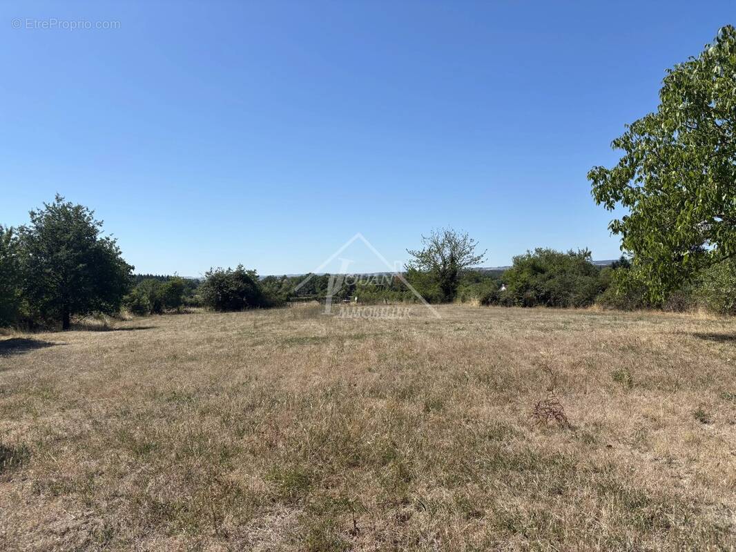 Terrain de 2334 m2 - photo 2