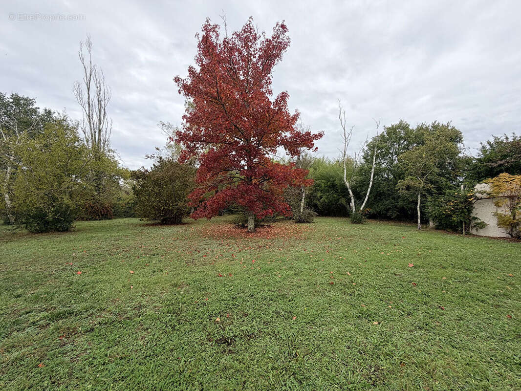 Terrain à PECHBUSQUE