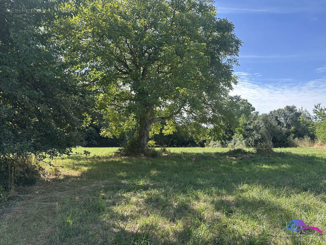 Terrain à SIDIAILLES