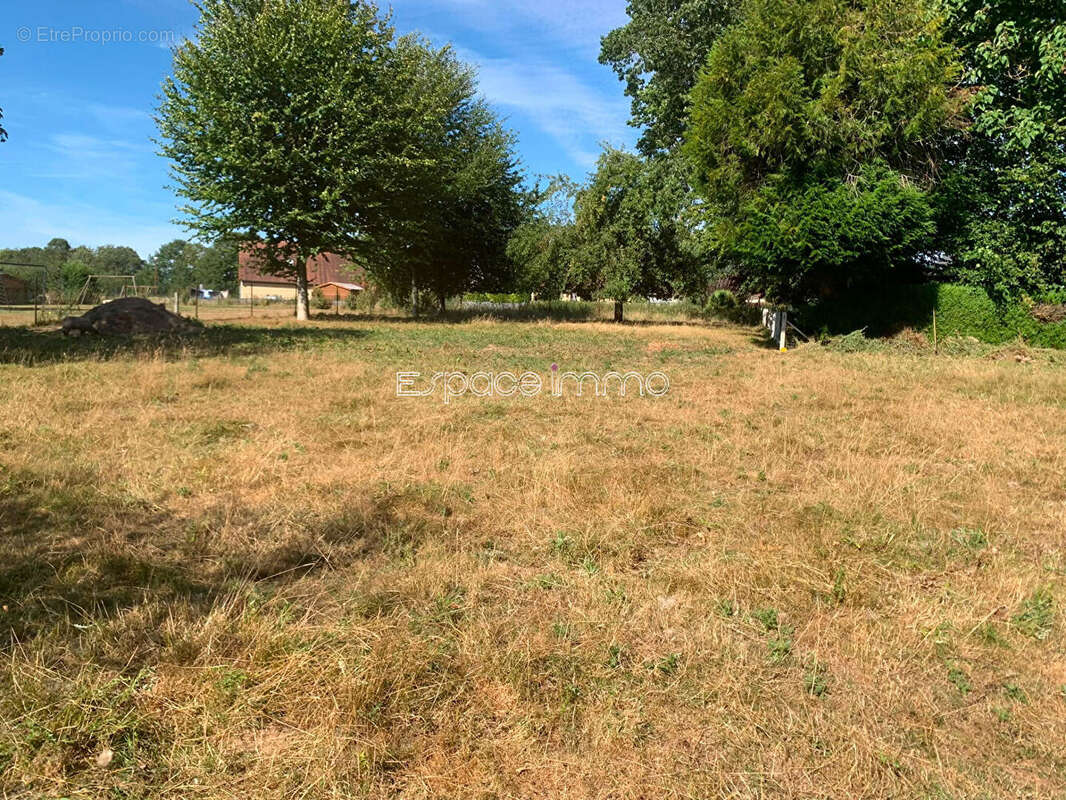 Terrain - Bosc Le Hard - 1816 m²  - proximité bourg - photo 4