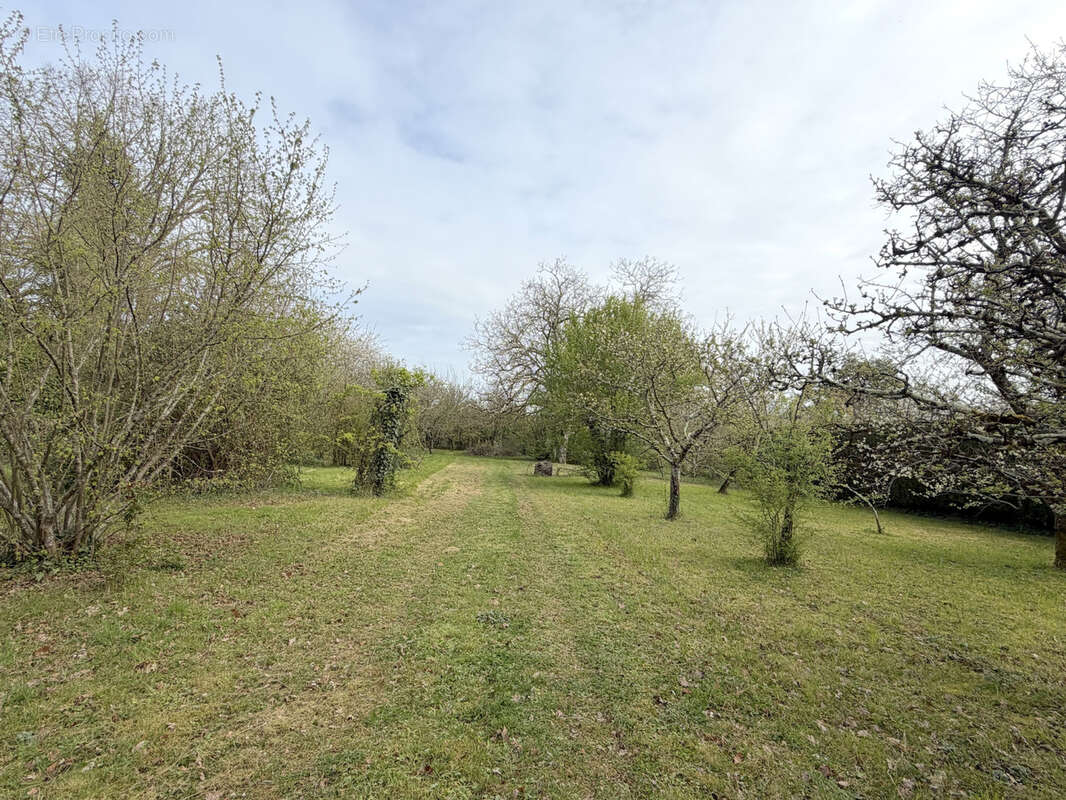 Maison à BUXEROLLES