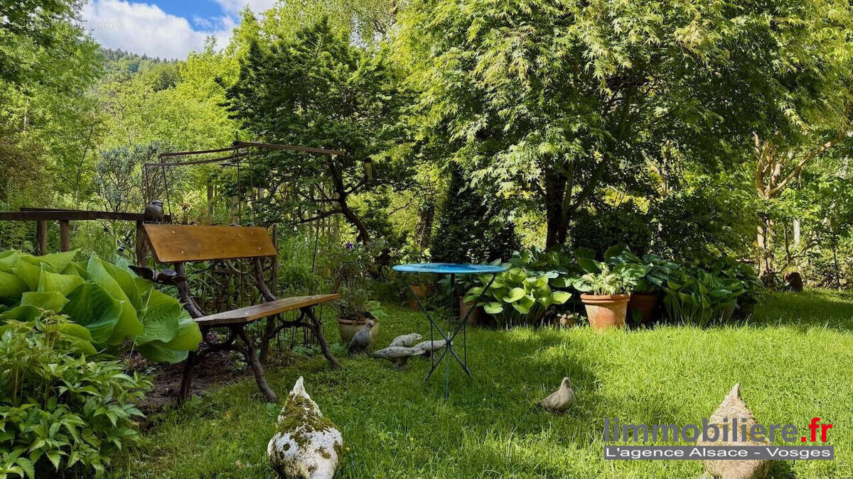 Maison 65 m² à La Croix-Aux-Mines  - photo 7