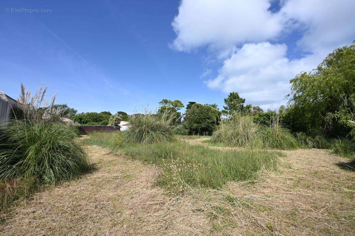 Terrain à LES PORTES-EN-RE
