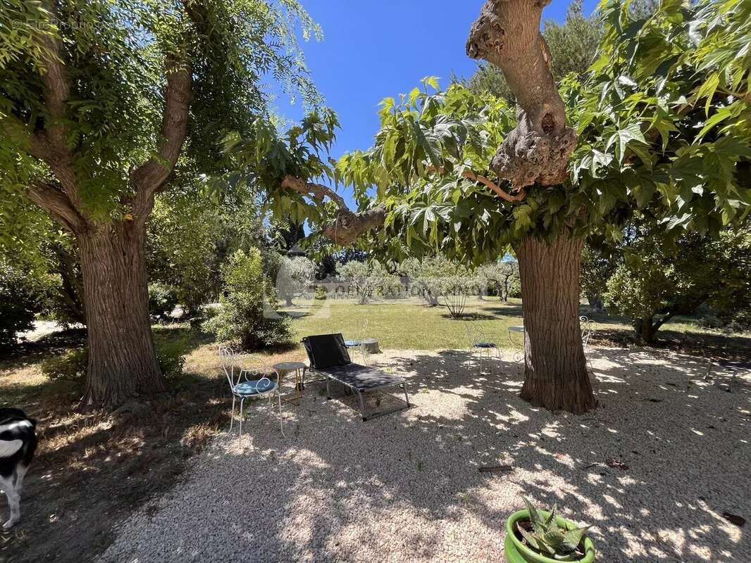 Maison à FONTVIEILLE