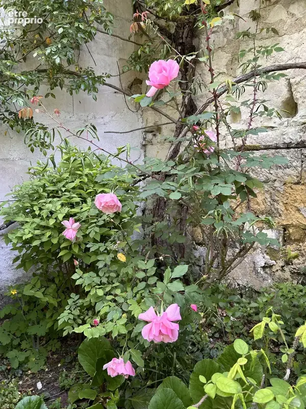 Belle maison de ville XVII - XVIIIème - photo 47