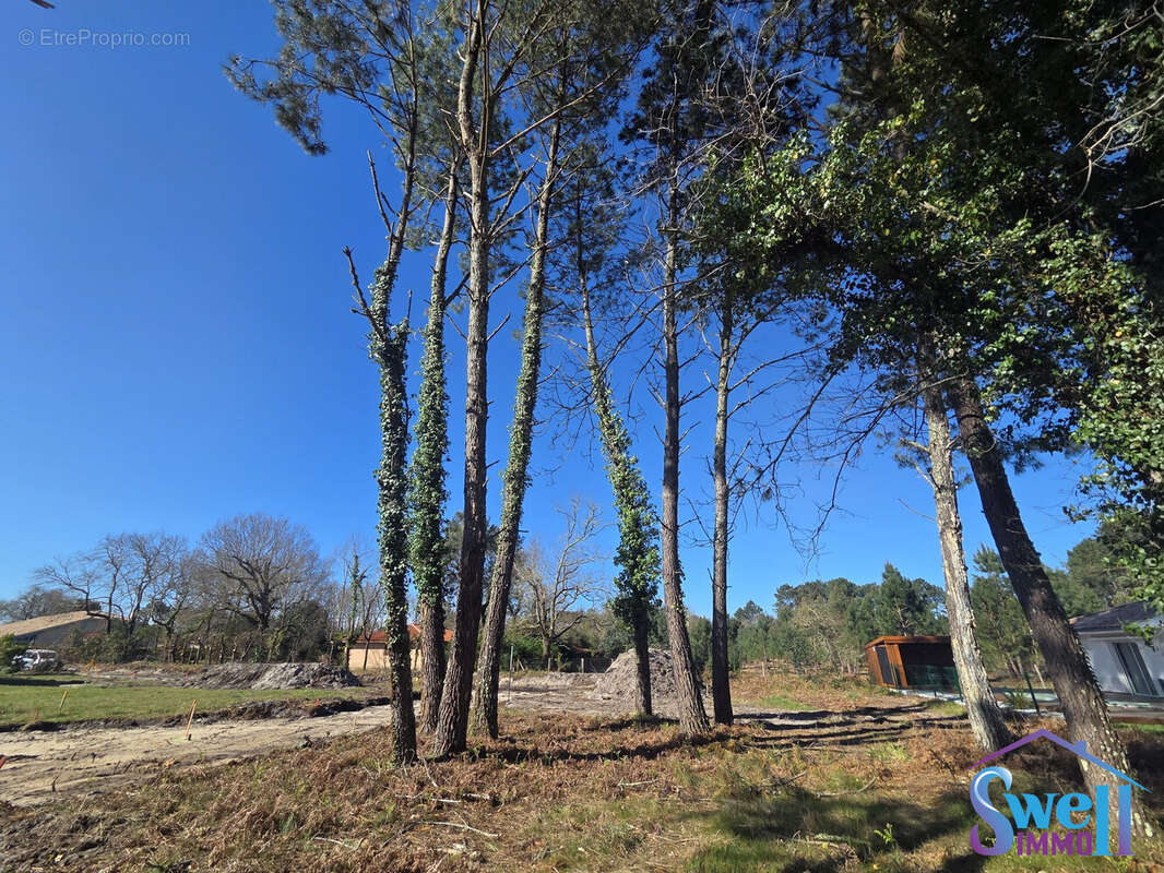 Terrain à MOLIETS-ET-MAA