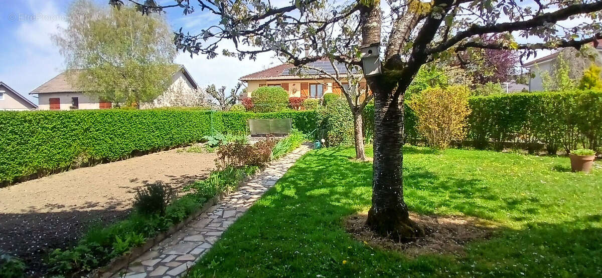 Maison à PULNOY