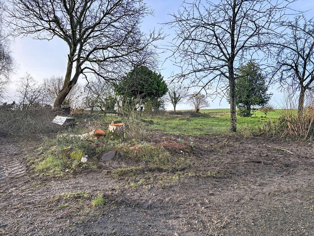 Maison à JUVIGNY-LE-TERTRE