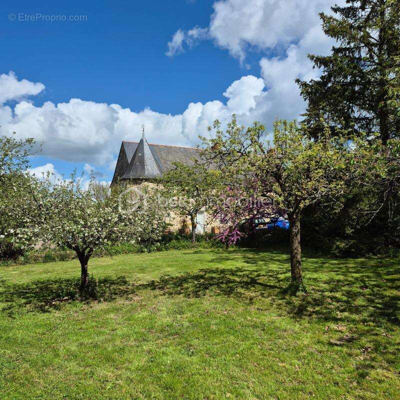 Propriété de prestige au cœur d’un domaine boisé – proche angers - photo 5