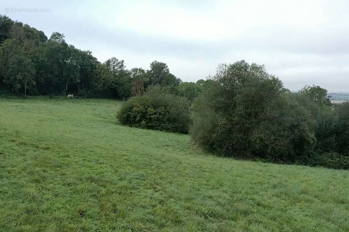 Maison à SAINT-PIERRE-SUR-DIVES