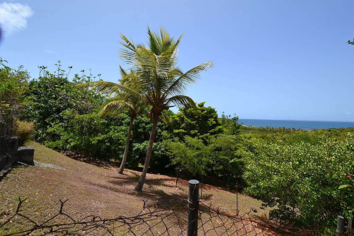 Terrain 4 000 m2   Vue mer imprenable   2 400 m2 constructibles (Zone UG)   Opportunité Investisseur - photo 6