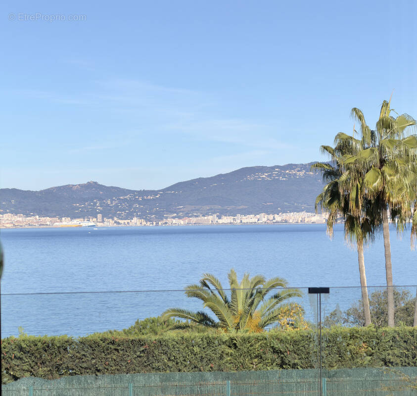 Maison à PIETROSELLA