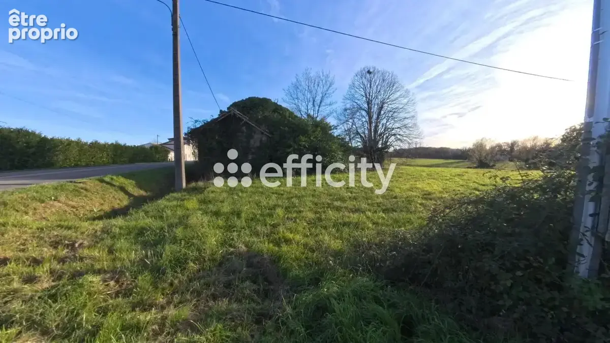 Terrain 14992 m² à Villeneuve-Sur-Lot  - photo 5
