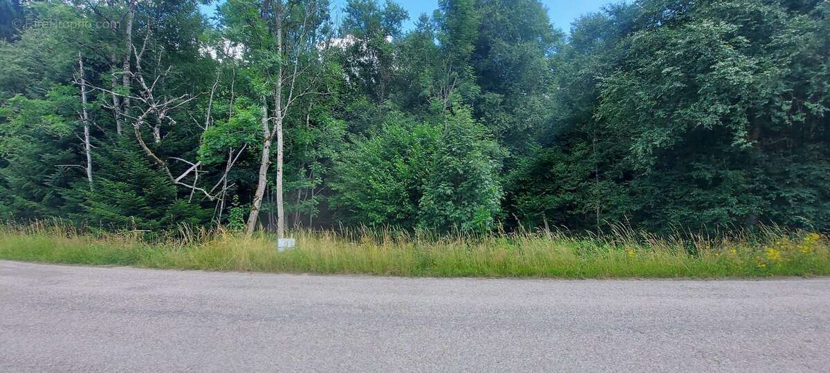 Terrain à GERARDMER